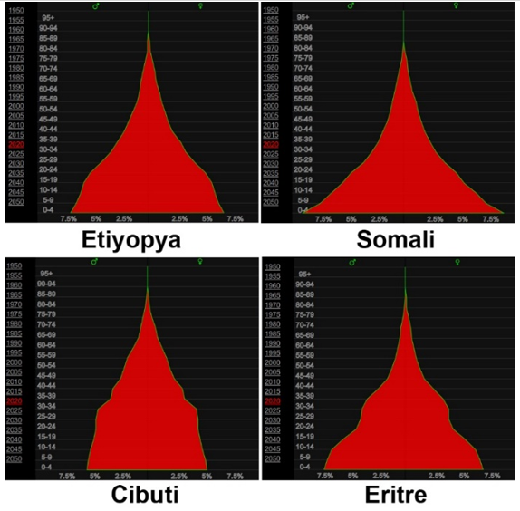  Grafik 1. Afrika Boynuzu Ülkelerinin Nüfus Piramitleri